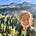 Emma Truscott's avatar