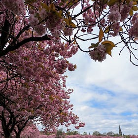 Bonus content! Bare Minimum Artist's Way