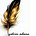 Zahier Adams's avatar