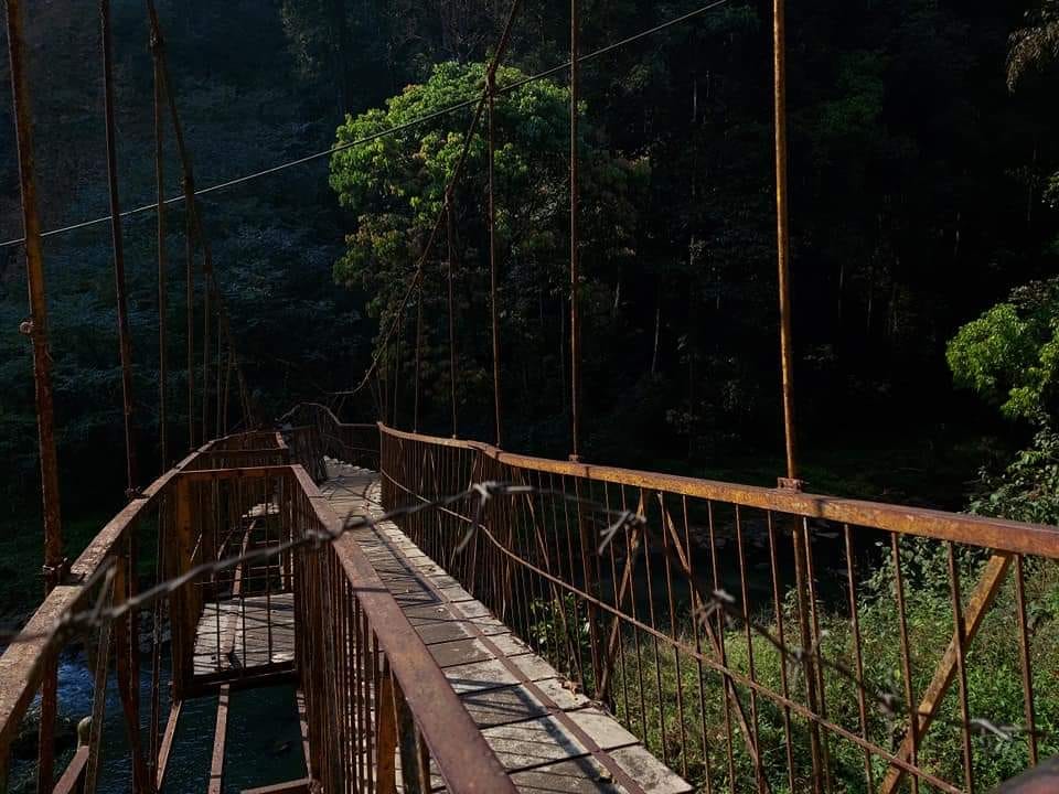 bridging the friendship gap