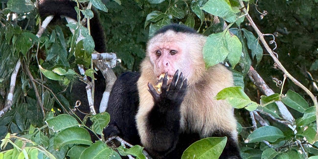 Day 5: Colon, Panama