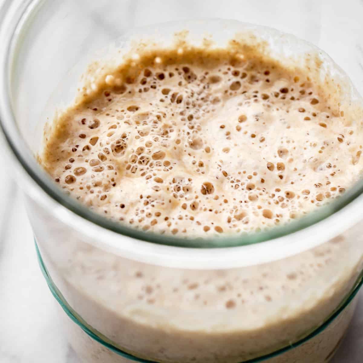 Beginner Sourdough Starter Recipe Beginner Sourdough Starter Recipe