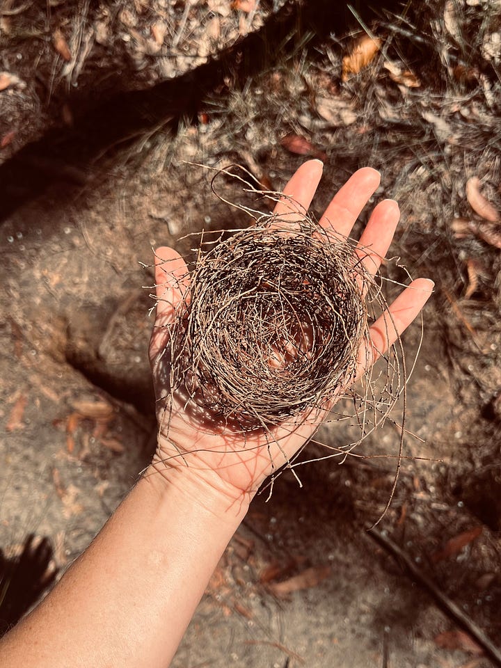 woman sitting on tree overlooking ocean, a nest in the hand, a shadow hand cast on the ground, aboriginal engraving