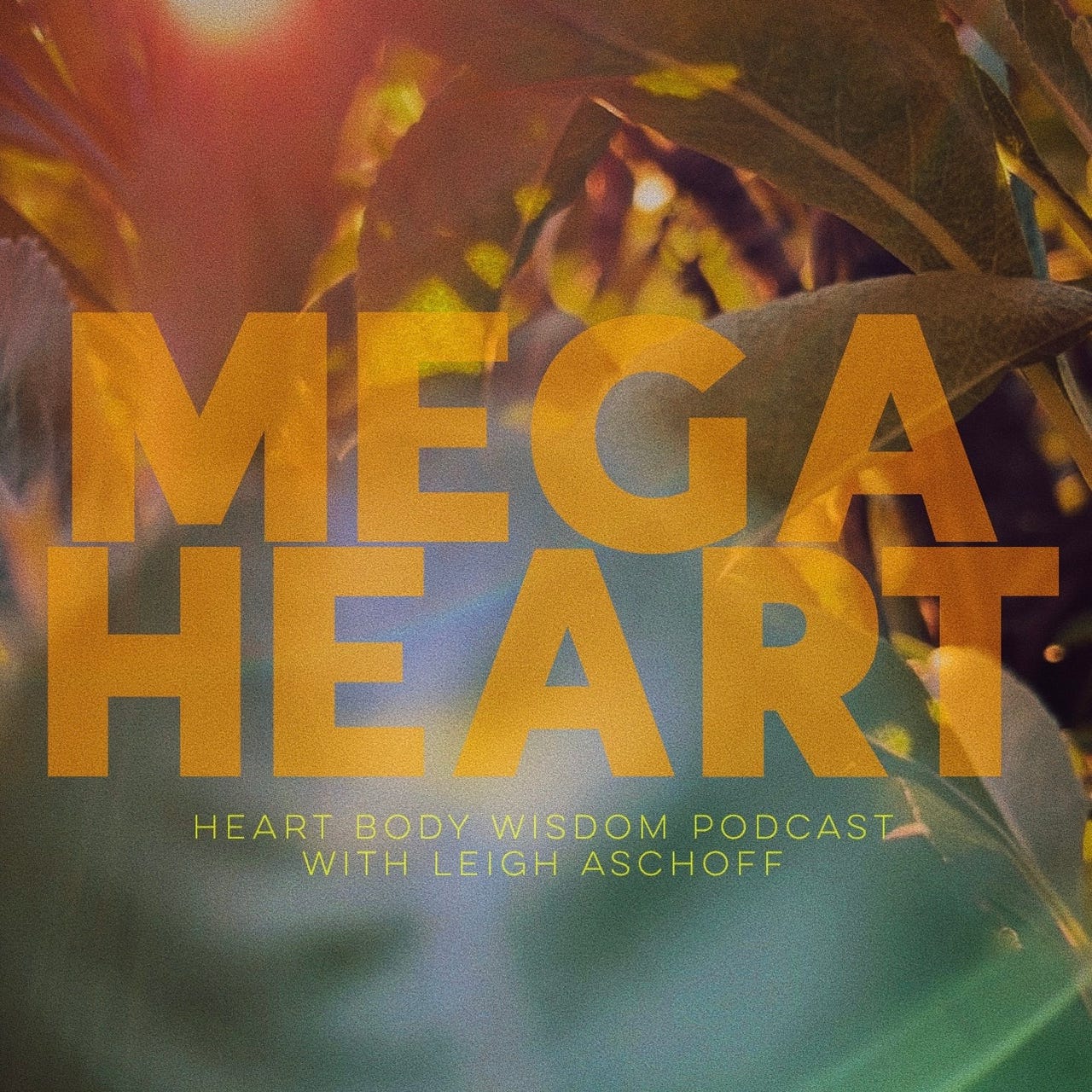 MEGA HEART