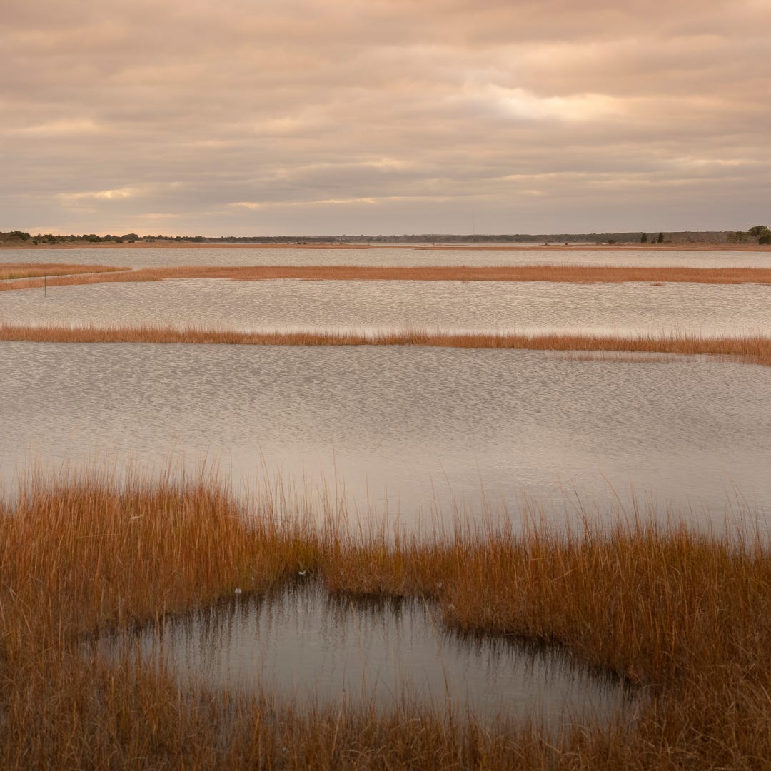 Balizas de Solsticio