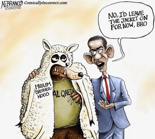 Muslim Bro Sheeps clothing