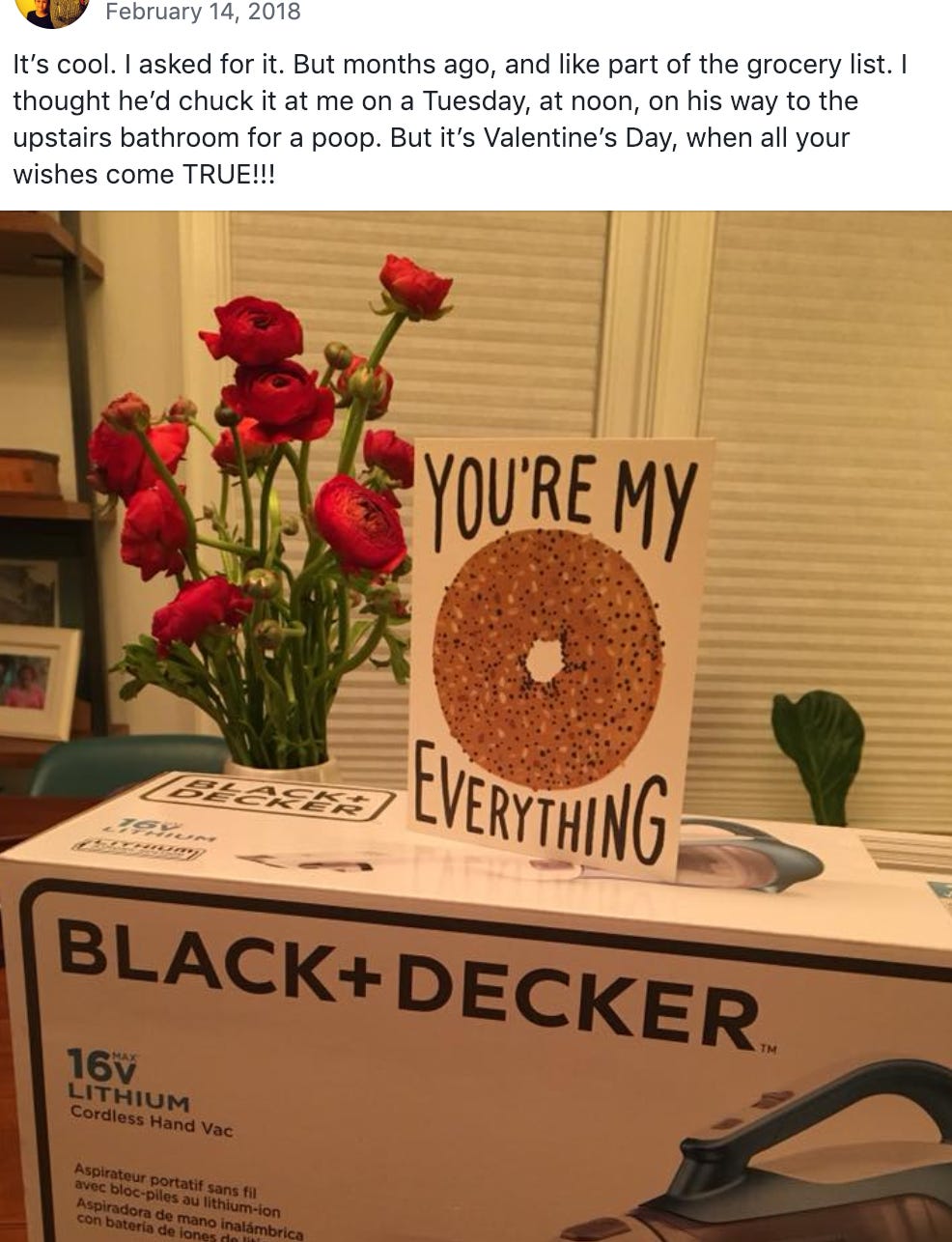 February 14, 2018 It's cool. I asked for it. But months ago, and like part of the grocery list. I thought he'd chuck it at me on a Tuesday, at noon, on his way to the upstairs bathroom for a poop. But it's Valentine's Day, when all your wishes come TRUE!!!