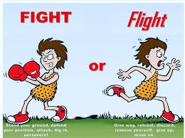 Fight or Flight? — Austin Spine Health