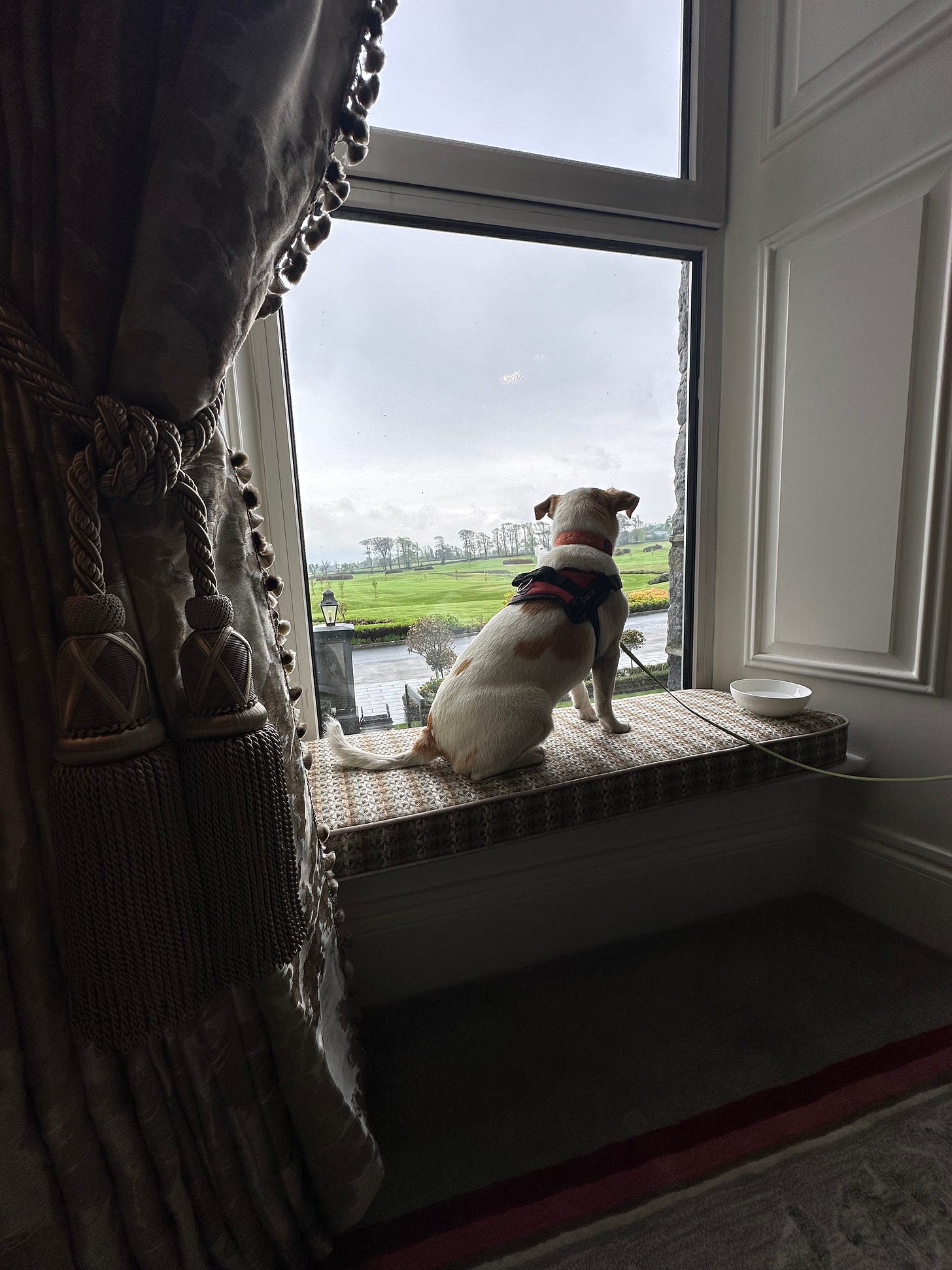 Clara looking out the window at Glenlo Abbey