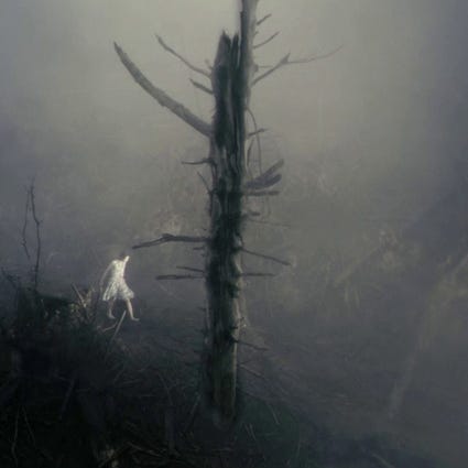 Un erizo en la niebla