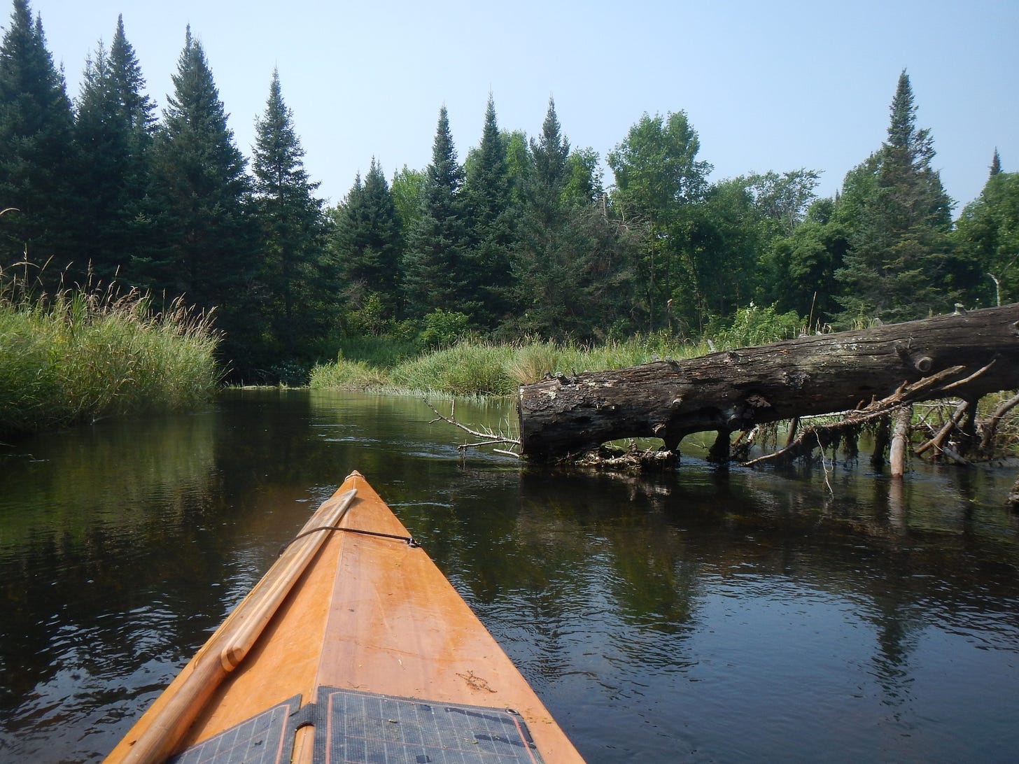 This could have been a whole lot less fun a few weeks ago