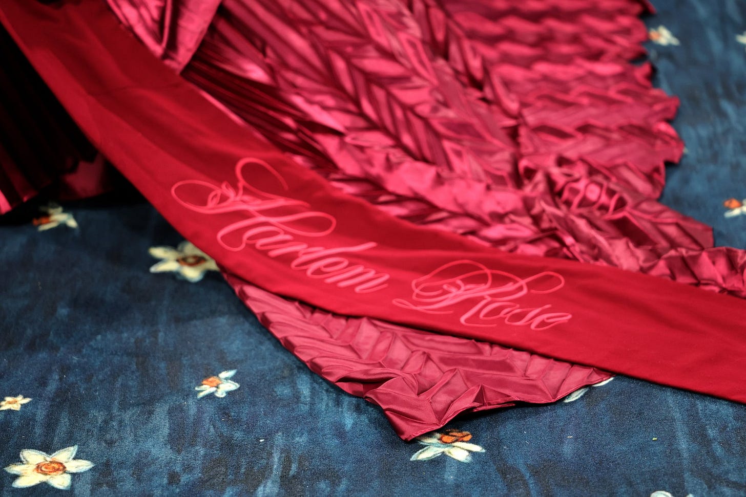 Image may contain Velvet Silk Flower Petal Plant Clothing and Dress