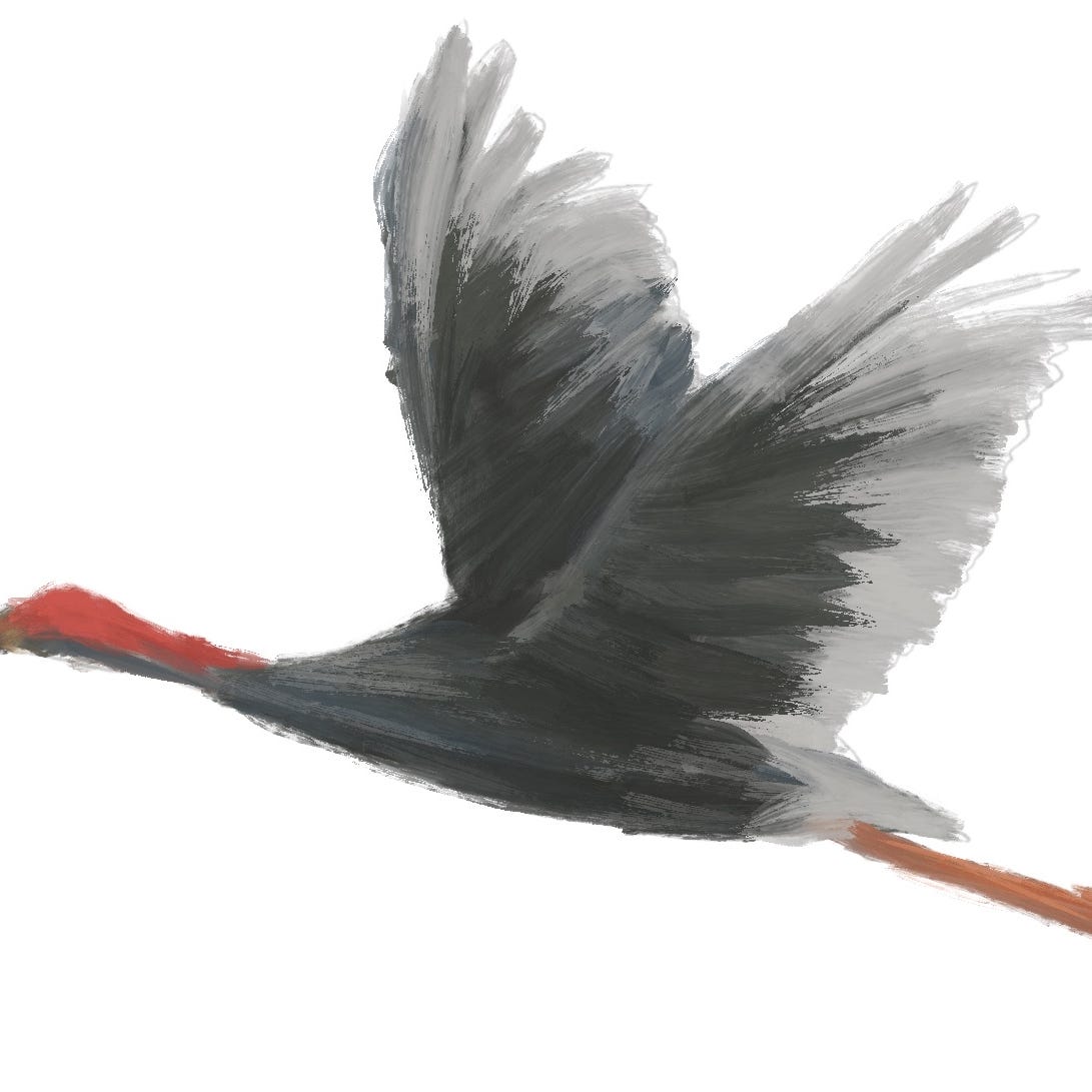 Among the Reeds logo