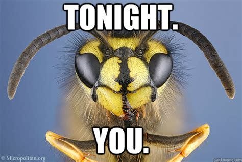 Vengeful Wasp memes | quickmeme