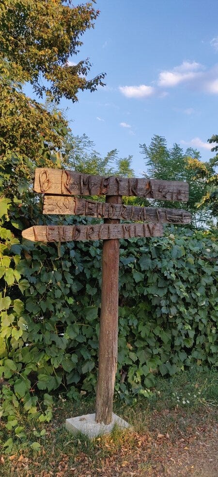 Webp.net-resizeimage-47.jpg Webp.net-resizeimage-47.jpg