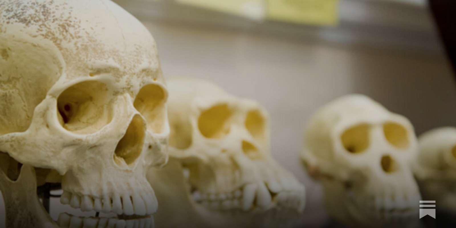 达尔文式自由市场的结果是什么- iyouport, image size:1600x800