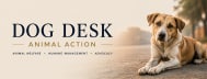 Dog Desk Animal Action