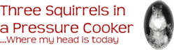 Three Squirrels in a Pressure Cooker