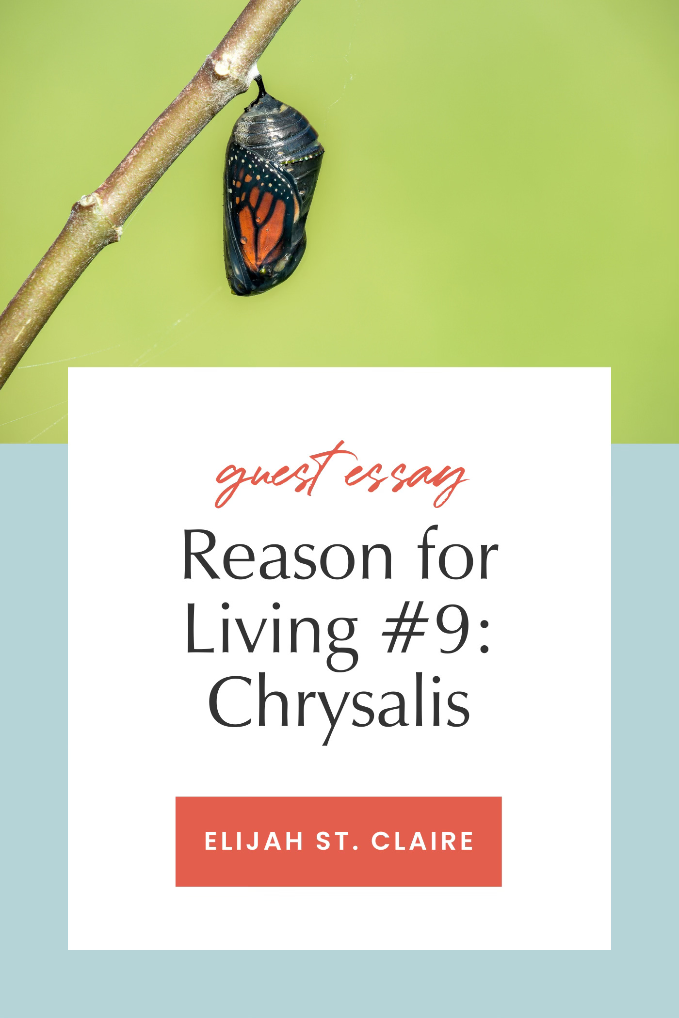 A monarch butterfly chrysalis hanging from a twig against a green background. Below, a text box reads: “Guest essay - Reason for Living #9: Chrysalis” by Elijah St. Claire.
