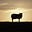BlackSheep's avatar