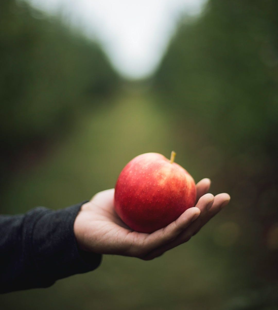 apple on person's hand