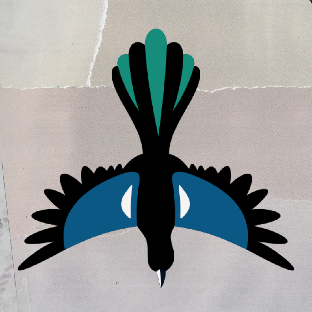 footnotes & feathers