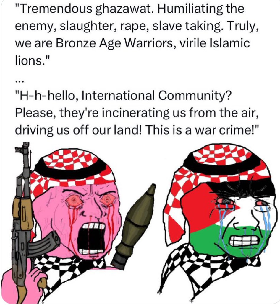 Hugh on X: "White nationalists have their own “tremendous ghazawat” meme.  This is the first part. The “hello? international community?” part is when  they try using the language of indigenous rights. https://t.co/ZIhohXHO4Y" /