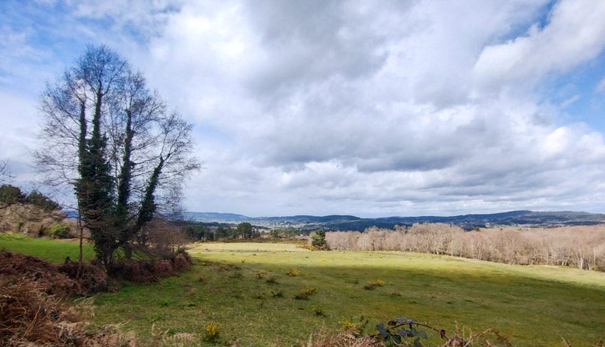 Paisaje con campos en primer término y montes en el horizonte