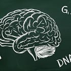 Parkinson's Disease 101: Genetics