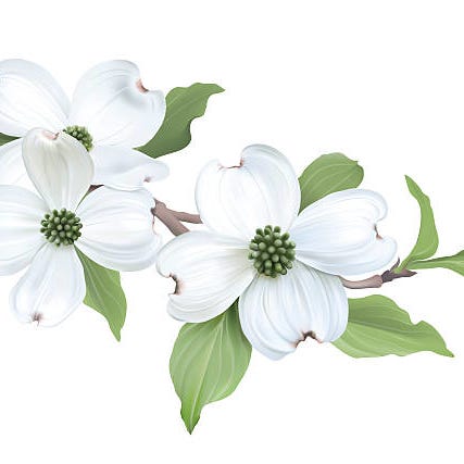 Under The Dogwood Tree