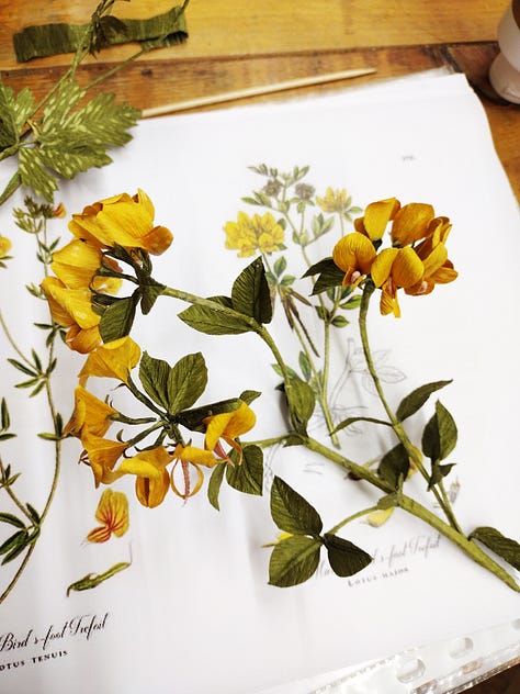 Wildflowers made of paper, including nettle and bramble leaves, catsear, buttercups and birdsfoot trefoil
