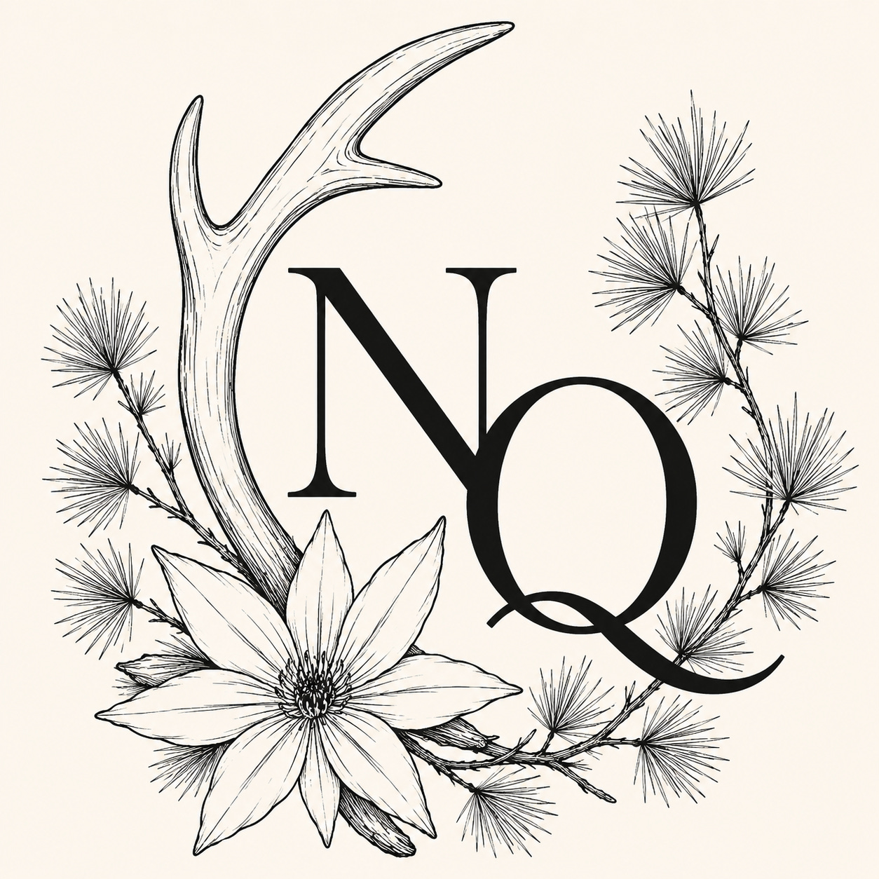 Nicole Qualtieri logo