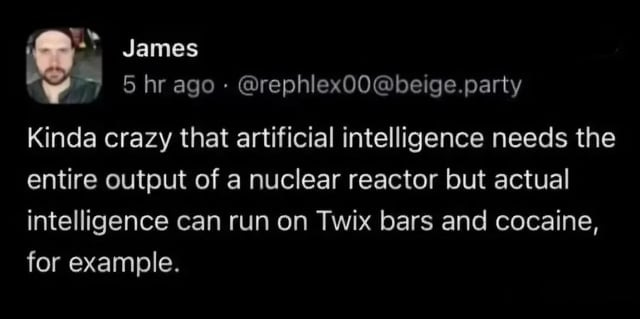 r/BrandNewSentence - "Kinda crazy that artificial intelligence needs the entire output of a nuclear reactor but actual intelligence can run on Twix bars and cocaine, for example"