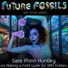 👾🖼️🏯 229 - Sara Phinn Huntley on Making A Field Guide to DMT Entities