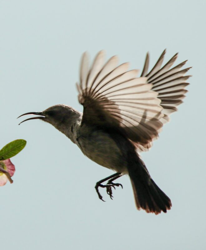 IMG_9577.jpeg IMG_9577.jpeg