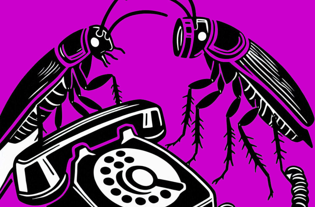 two cockroaches converse, one wears a camera one sits on top of a retro dial phone