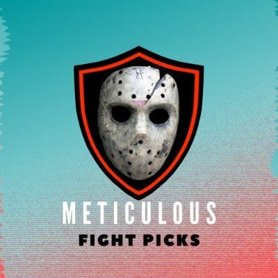 Substack profile picture for @meticulous