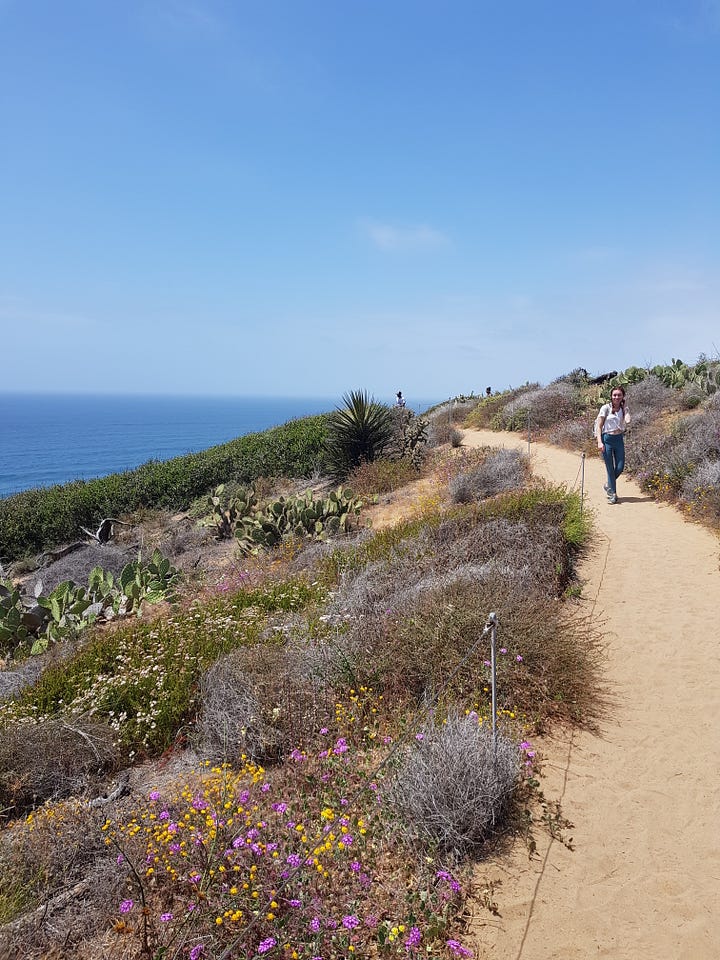 Images showing the beach and hiking trails in Torrey Pines State Beach