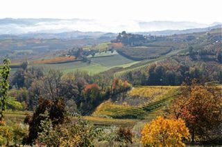 Awine – landscape 1 Awine – landscape 1