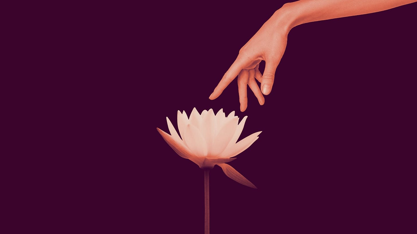 a hand reaches delicately toward a flower