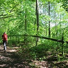 A hike through the woods feels natural. It’s anything but.