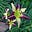 Gardening in Wisconsin's avatar