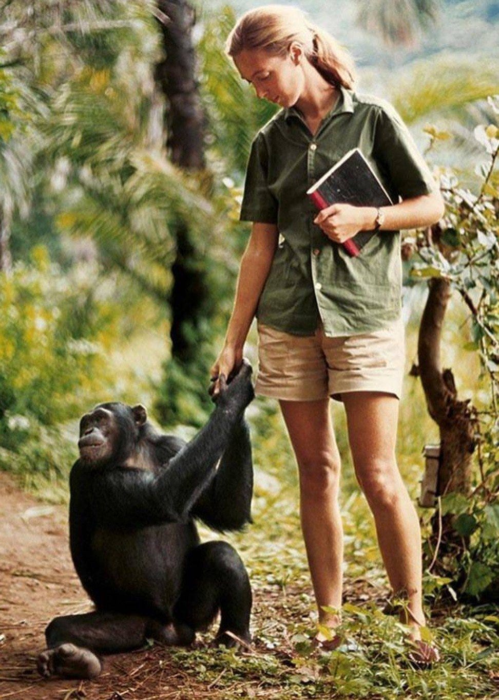 Exclusive | Jane Goodall on calling Interpol, the far right and eating your  fingernails | South China Morning Post