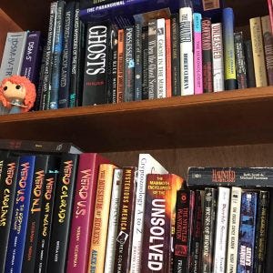 bookshelf theme picture bookshelf theme picture