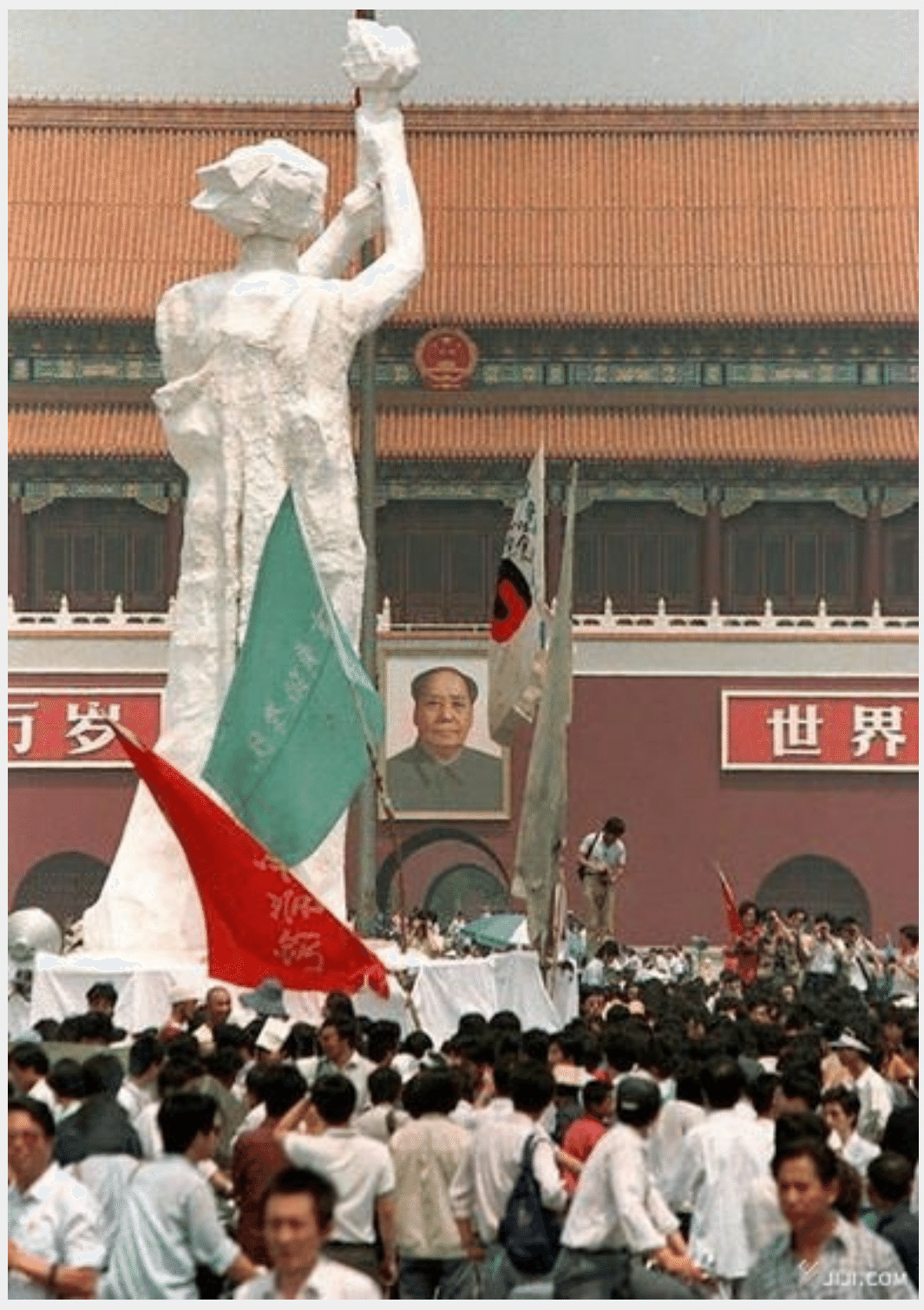 画像 画像
