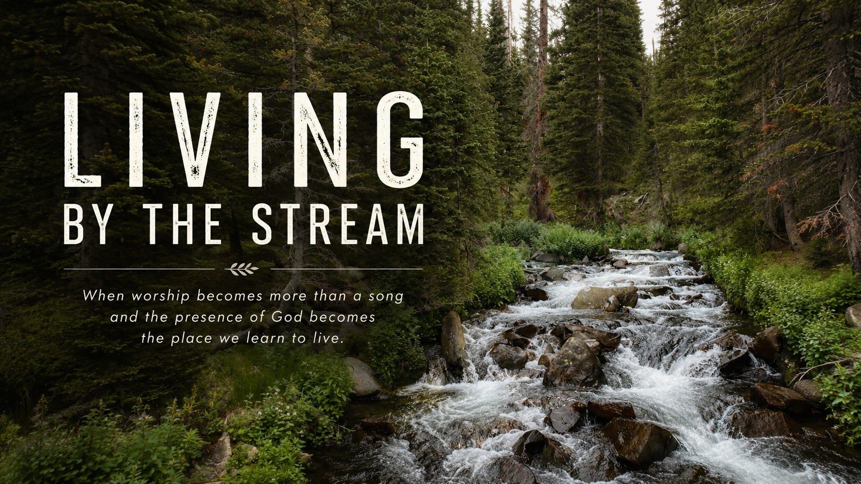 Living by the Stream