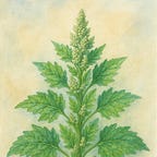 Holistic Farming