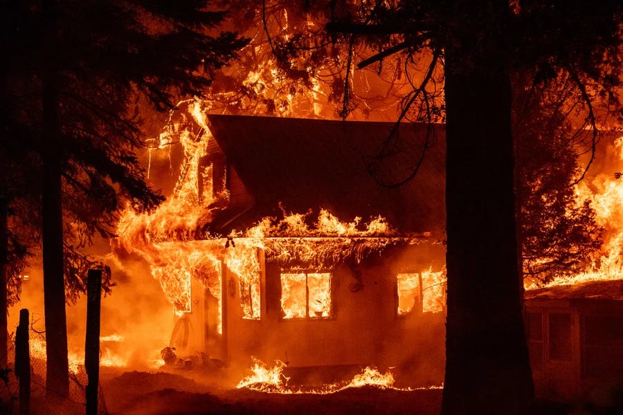 A COLLECTIVE GUIDE TO SURVIVING CLIMATE COLLAPSE 