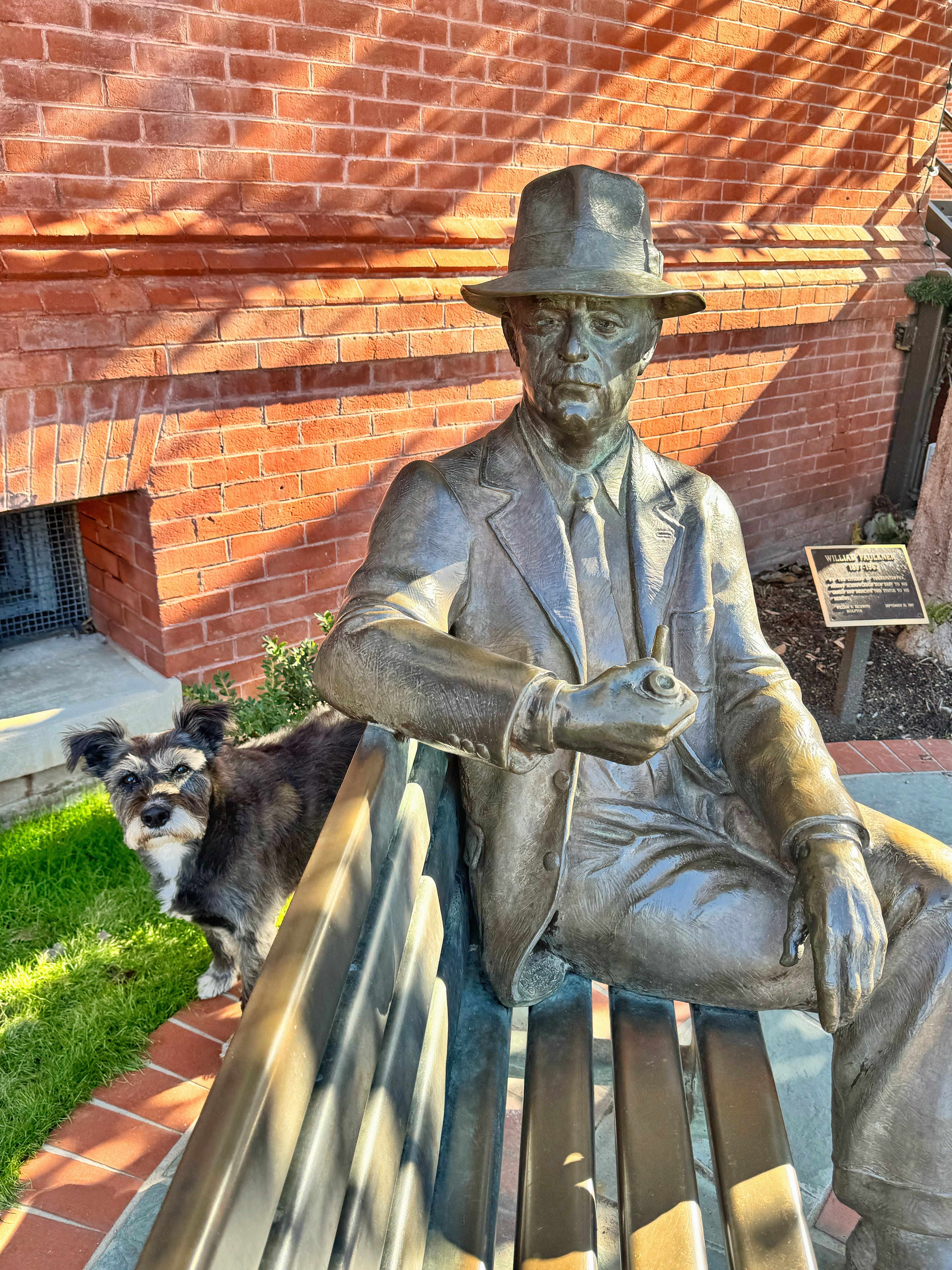 洋書 Lion in the Garden: William Faulkner 51Zxgwl2xYL._AC_UF350,