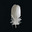 Seraph's avatar